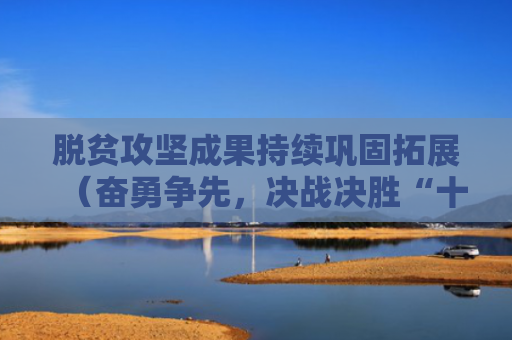 脱贫攻坚成果持续巩固拓展（奋勇争先，决战决胜“十四五”）