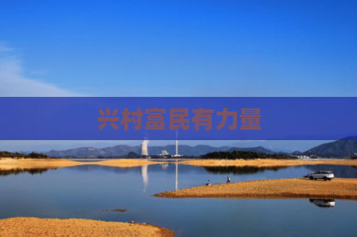 兴村富民有力量