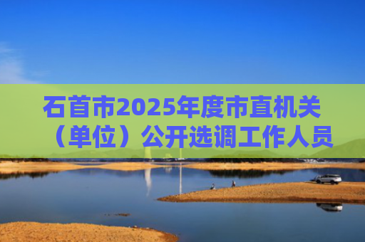 石首市2025年度市直机关（单位）公开选调工作人员面试公告