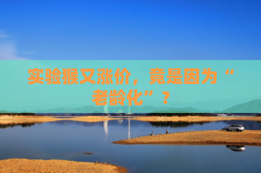 实验猴又涨价，竟是因为“老龄化”？
