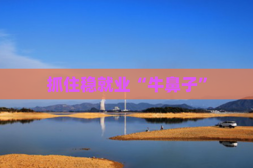 抓住稳就业“牛鼻子”