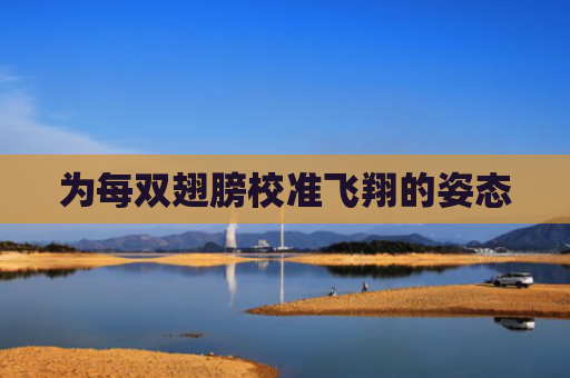 为每双翅膀校准飞翔的姿态