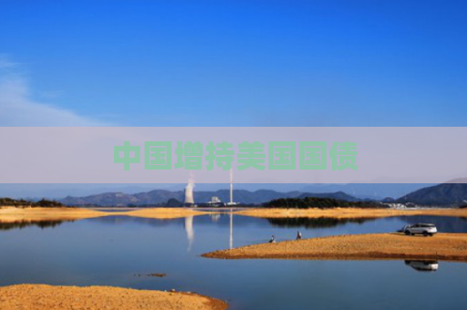 中国增持美国国债
