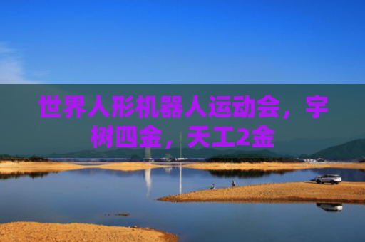 世界人形机器人运动会，宇树四金，天工2金