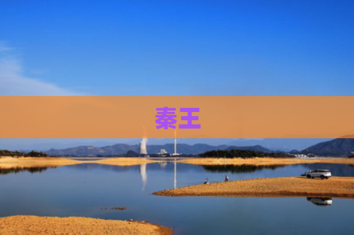 秦王