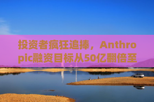 投资者疯狂追捧，Anthropic融资目标从50亿翻倍至100亿