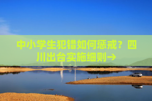 中小学生犯错如何惩戒？四川出台实施细则→