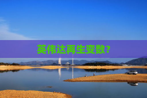英伟达再生变数？