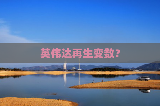 英伟达再生变数？