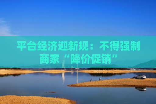 平台经济迎新规：不得强制商家“降价促销”