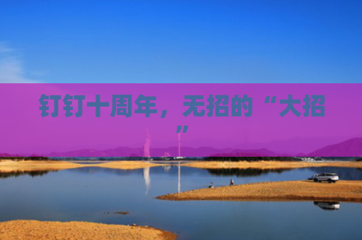 钉钉十周年，无招的“大招”