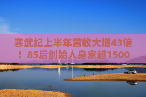 寒武纪上半年营收大增43倍！85后创始人身家超1500亿