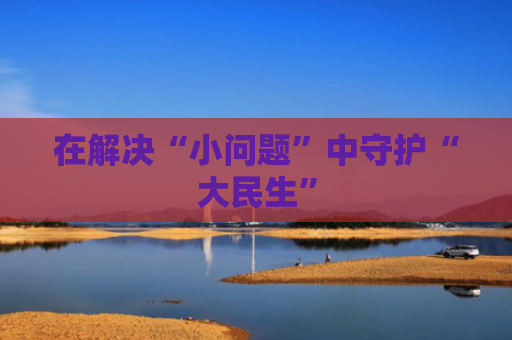 在解决“小问题”中守护“大民生”