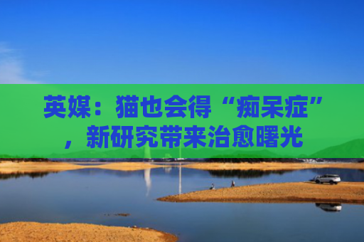 英媒：猫也会得“痴呆症”，新研究带来治愈曙光