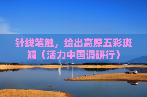 针线笔触，绘出高原五彩斑斓（活力中国调研行）
