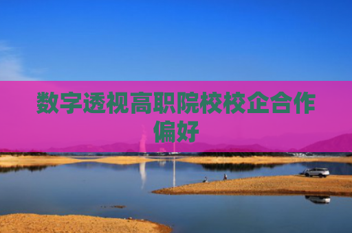 数字透视高职院校校企合作偏好