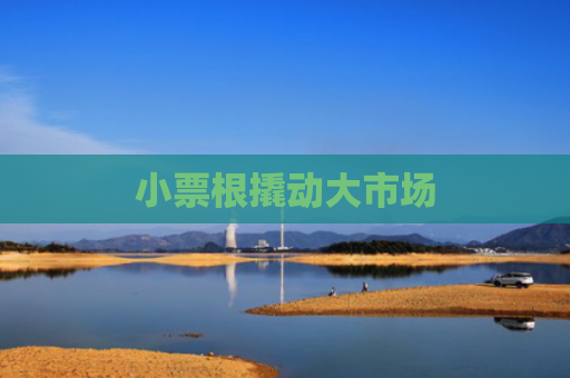 小票根撬动大市场