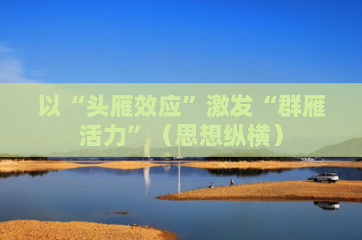 以“头雁效应”激发“群雁活力”（思想纵横）
