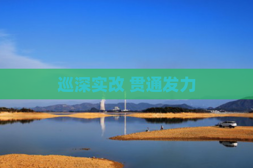 巡深实改 贯通发力