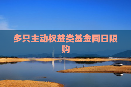 多只主动权益类基金同日限购