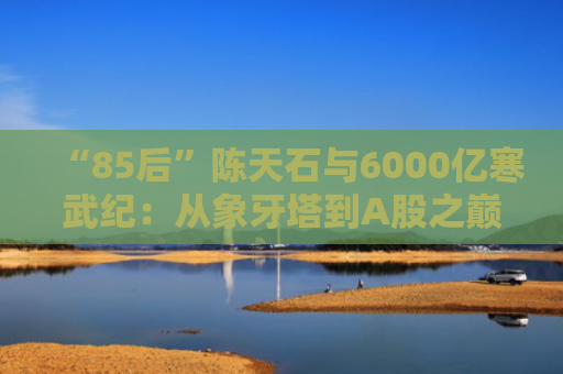 “85后”陈天石与6000亿寒武纪：从象牙塔到A股之巅