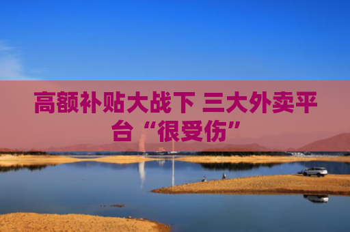 高额补贴大战下 三大外卖平台“很受伤”