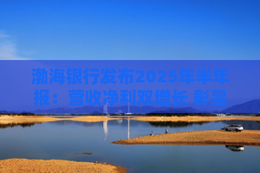 渤海银行发布2025年半年报：营收净利双增长 彰显韧性发展定力