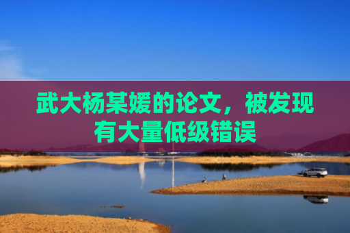 武大杨某媛的论文，被发现有大量低级错误