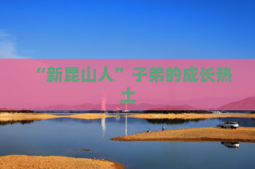 “新昆山人”子弟的成长热土