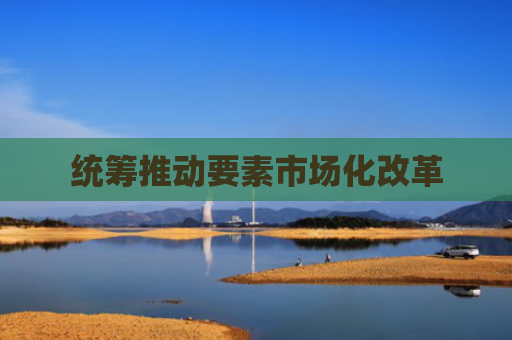 统筹推动要素市场化改革