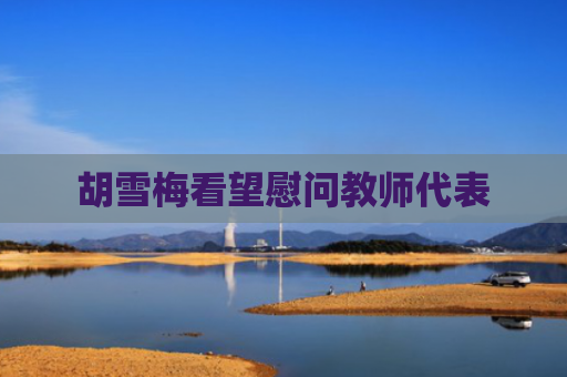 胡雪梅看望慰问教师代表
