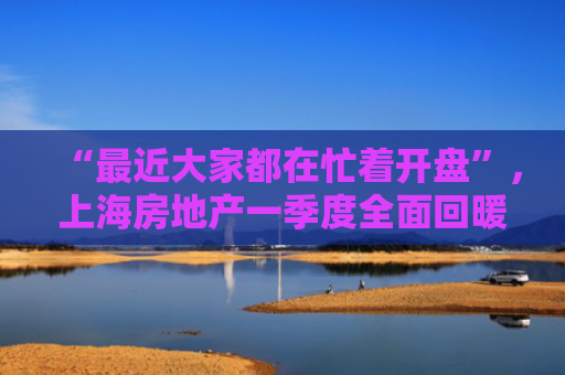 “最近大家都在忙着开盘”，上海房地产一季度全面回暖，热度还将攀升