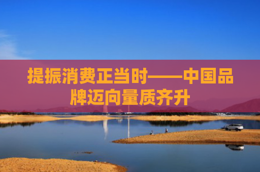 提振消费正当时——中国品牌迈向量质齐升