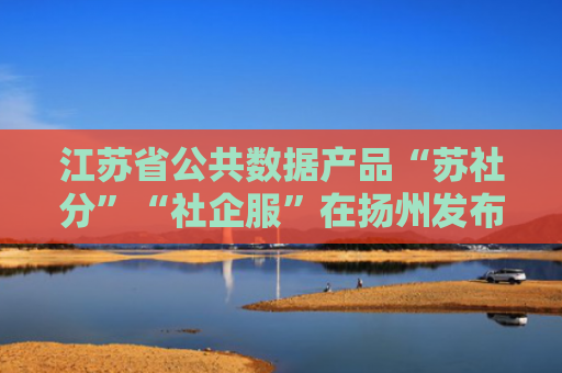 江苏省公共数据产品“苏社分”“社企服”在扬州发布