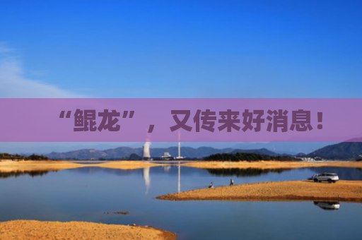 “鲲龙”，又传来好消息！