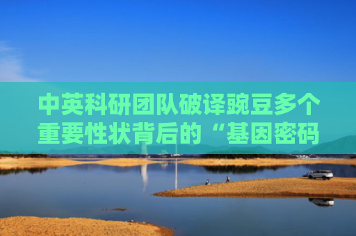 中英科研团队破译豌豆多个重要性状背后的“基因密码”