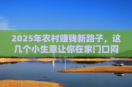 2025年农村赚钱新路子，这几个小生意让你在家门口闷声发财