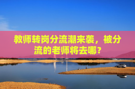 教师转岗分流潮来袭，被分流的老师将去哪？