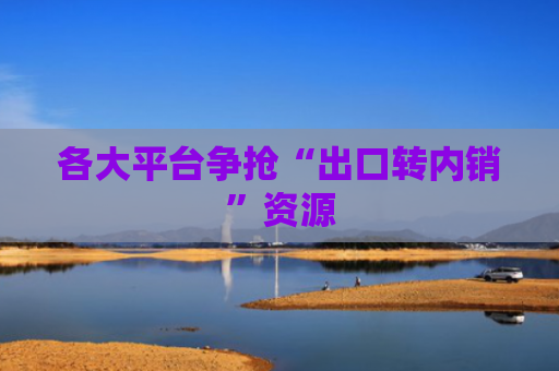 各大平台争抢“出口转内销”资源