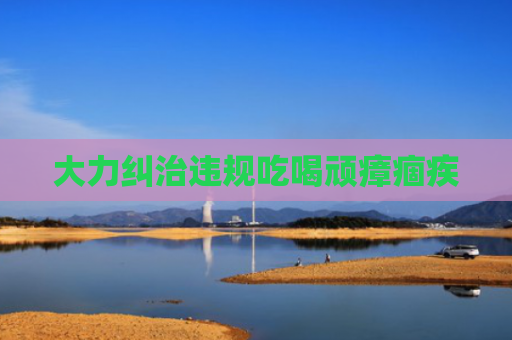 大力纠治违规吃喝顽瘴痼疾