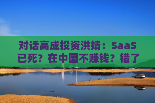 对话高成投资洪婧：SaaS已死？在中国不赚钱？错了！