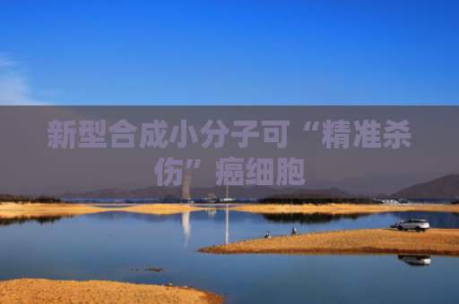 新型合成小分子可“精准杀伤”癌细胞