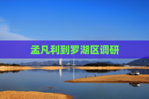 孟凡利到罗湖区调研
