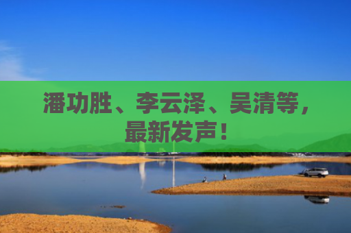 潘功胜、李云泽、吴清等，最新发声！