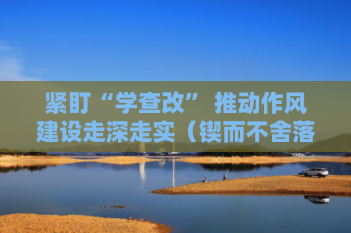 紧盯“学查改” 推动作风建设走深走实（锲而不舍落实中央八项规定精神）