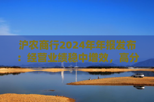 沪农商行2024年年报发布：经营业绩稳中增效，高分红率展现长期发展信心