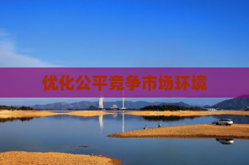 优化公平竞争市场环境