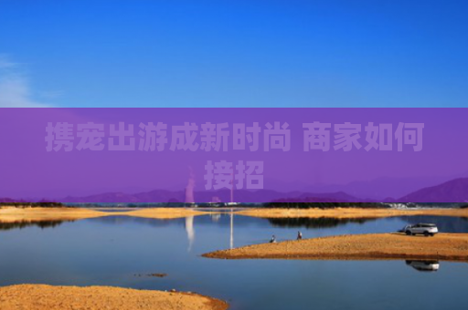 携宠出游成新时尚 商家如何接招