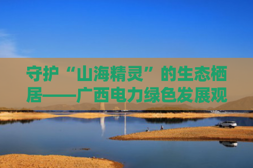 守护“山海精灵”的生态栖居——广西电力绿色发展观察