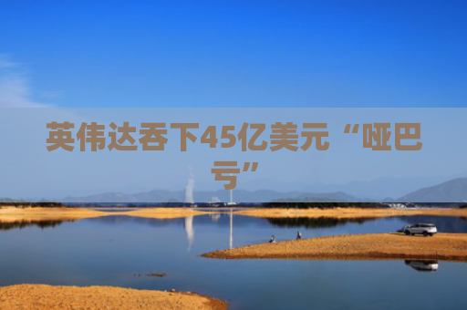 英伟达吞下45亿美元“哑巴亏”